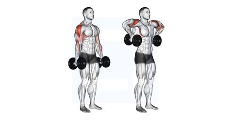 Dumbbell Raise Guide Benefits And Form