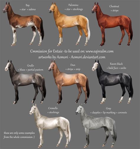 Akhal Teke Horses Of Different Colors Akhal Teke Horses Horses