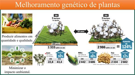 Biotecnologia e agricultura Melhoramento genético de plantas YouTube