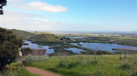 Coyote Hills Regional Park - tripswithvanda