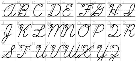 Typography Cursive Fonts Alphabet