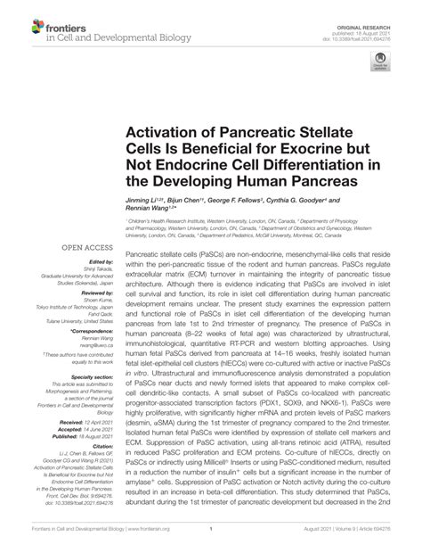 Pdf Activation Of Pancreatic Stellate Cells Is Beneficial For