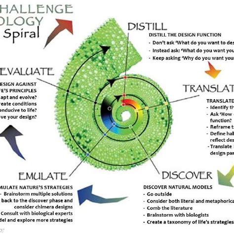 Biomimicry Lifes Principles Circle © 2010 Biomimicry Guild Download Scientific Diagram