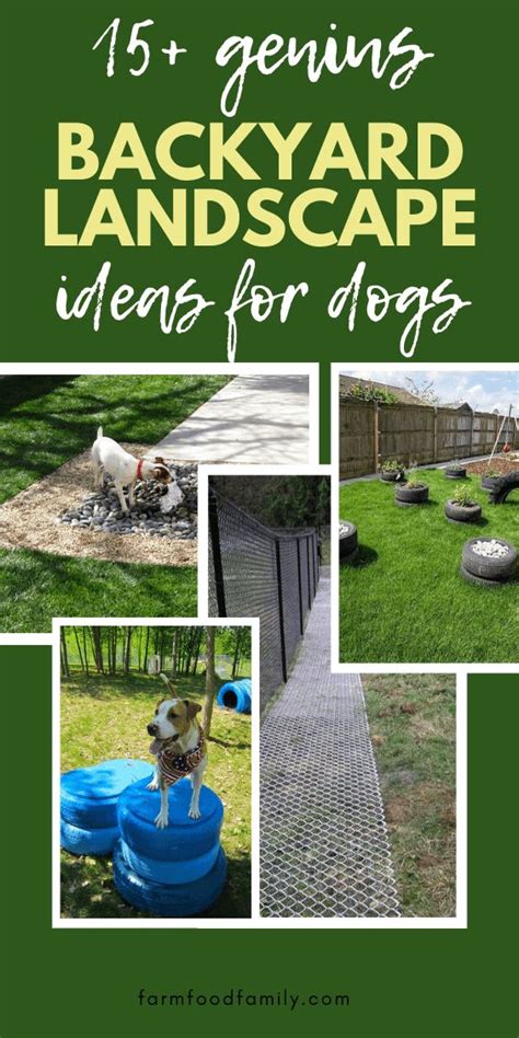 24 Great Dog Friendly Backyard Landscaping Ideas And Designs For 2024