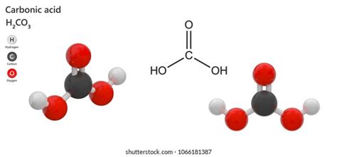 Carbonic Acid Structure