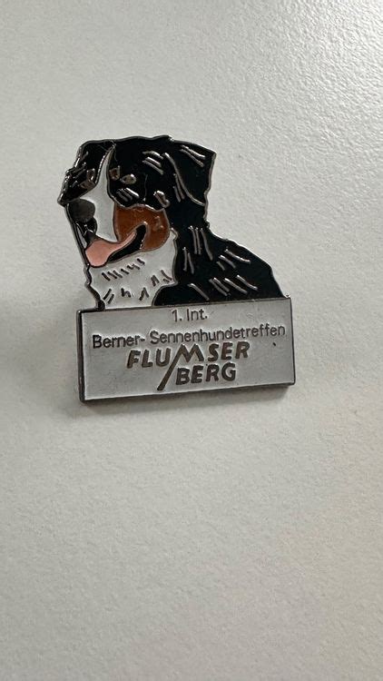 Berner Sennenhund Flumserberg Pin Kaufen Auf Ricardo