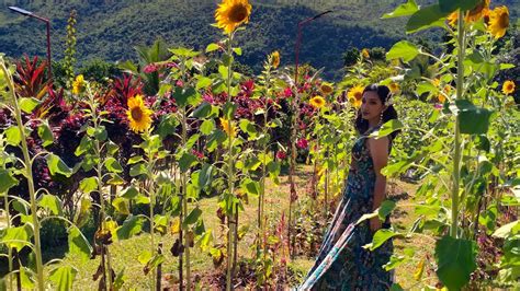 Kathy S Predebut Photoshoot At Lambingan Hills Tanay Rizal Youtube