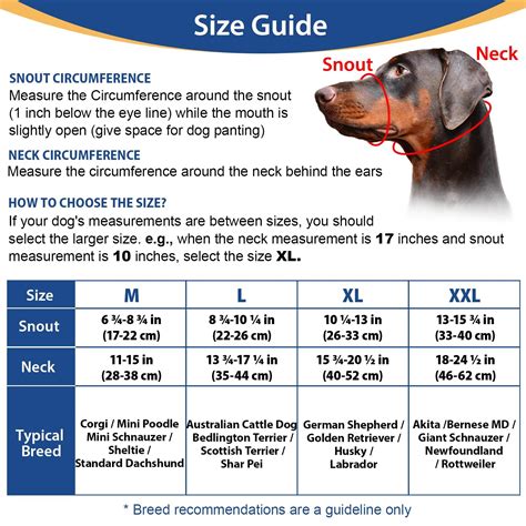 Snapklik.com : BARKLESS Head Collar For Dogs, No Pull Head Halter For