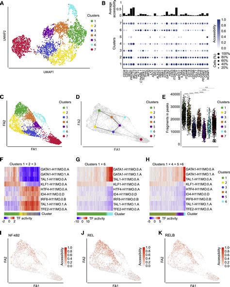 Integrative Single Cell Rna Seq And Atac Seq Analysis Of Human