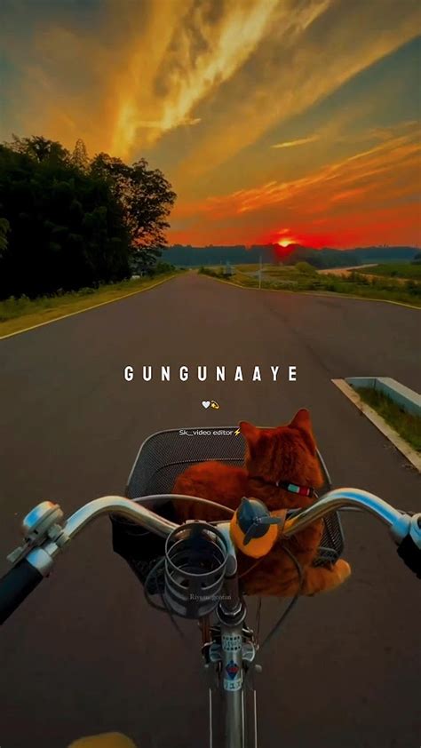 Naadaniyaan Kaise Tu Gungunaye Viral Music Lyrics Trending Shortsfeed Youtubeshorts