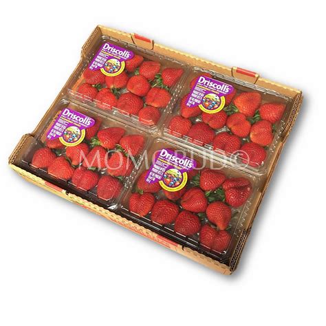 Driscoll's Jumbo Long Stem Strawberry Box (454g x 4) — MomoBud