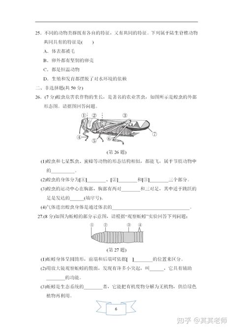 人教版八年级生物上册第五单元第一章达标测试卷含答案 知乎