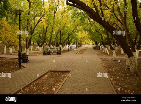 A Shady Alley In The Park Stock Photo Alamy