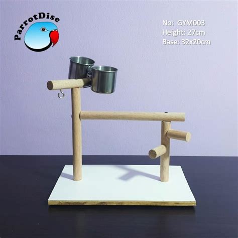 parrot bird table top play stand gym  pet supplies homes