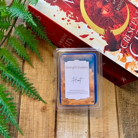 Ruhn Wax Melt Crescent City Inspired Bookish Wax Melts Etsy