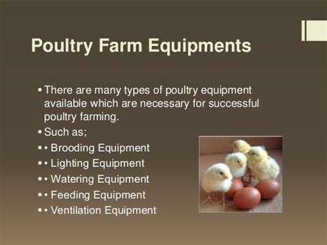 Poultry Farm Equipments And Their Uses