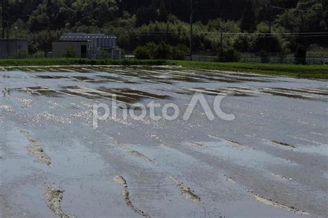 水を張った田んぼ No 24561801｜写真素材なら「写真ac」無料（フリー）ダウンロードok