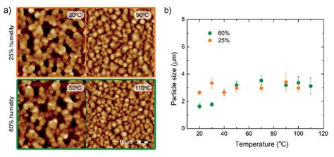 Afm Topography And Primary Particle Size A Representative Afm Height