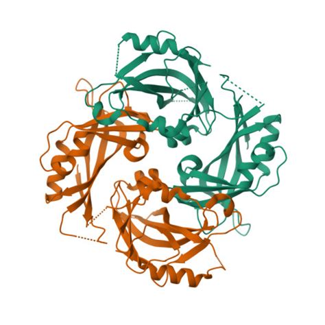 Rcsb Pdb Sks Crystal Structure Of Measles Virus Matrix Protein