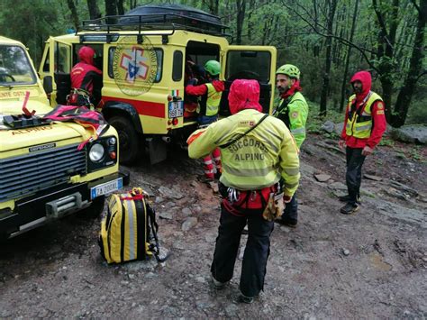 Proseguono Le Ricerche Del Cercatore Di Funghi Disperso Nel Bosco