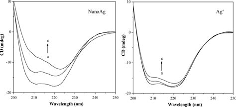 Circular Dichroism Cd Spectra Of Hb Samples Treated By Nanoag Or Ag⁺ Download Scientific