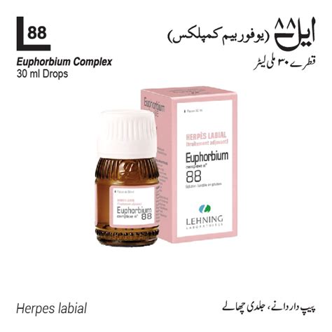 L 88 Euphorbium Complex Lehning In Pakistan