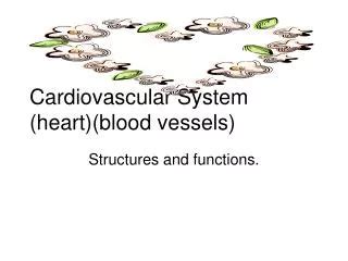 PPT Chapter 21 The Cardiovascular System Blood Vessels PowerPoint