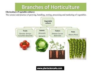 Horticulture introduction - Definition and Branches of Horticulture | PPT