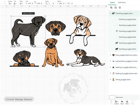 Puggle SVG Bundle Beagle Pug Mix Breed Clipart Dog Face SVG - Etsy