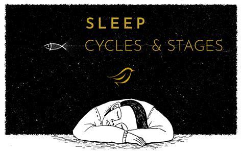 Sleep Cycles Progression: Understanding the Mechanism