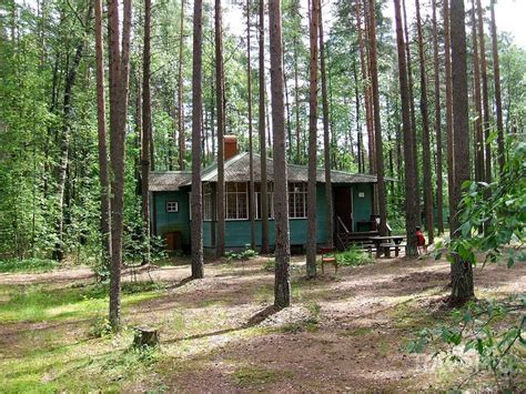 Города России: Комарово / Travel.ru / Россия