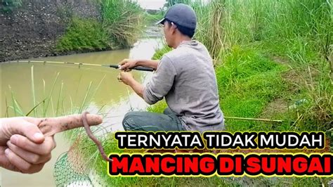 Mancing Di Sungai Apapun Kondisi Nya Wajib Bawa Umpan Ini Youtube