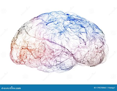 View Of The Synapses Brain Connections Neurons And Synapses