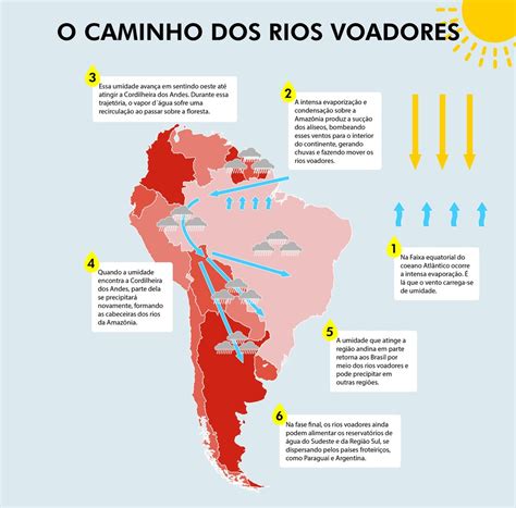 Como A Amazônia Influencia As Outras Regiões Do País