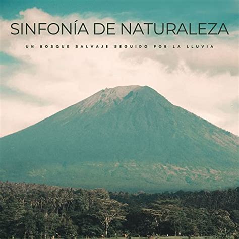 Amazon Music Sonidos De La Naturaleza Relax P Jaros Del Bosque