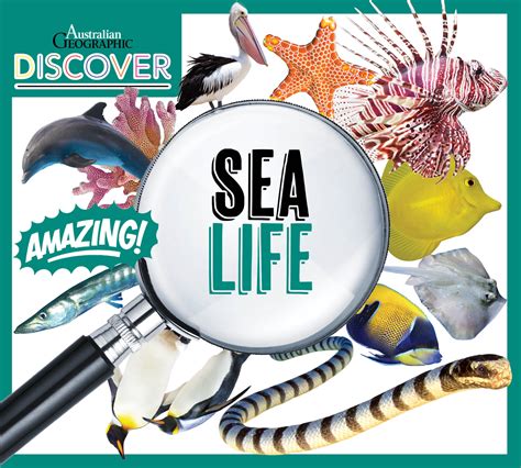 Discover: Sea Life - Australian Geographic