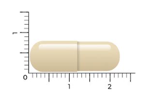 Vitakruid Gebufferde Vitamine C Capsules