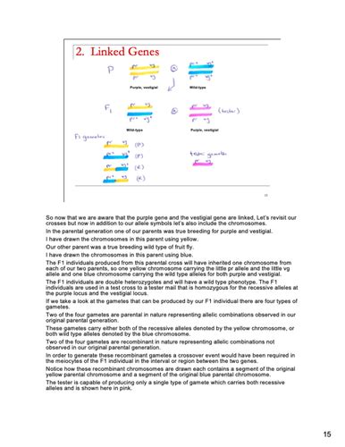 Topic H Linkage And Mapping Flashcards Quizlet