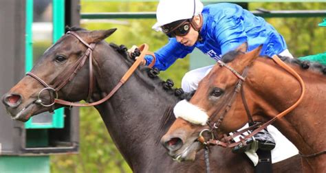 Pronostic Quinté Lundi 22 Avril 2024 Handicap de Bordeaux 4 Tuyaux