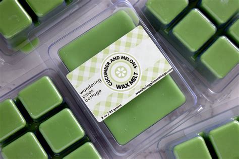 Cucumber And Melons Wax Melt Fruity Wax Melt Melts For Warmers Clamshell Wax Melt Spa Scent