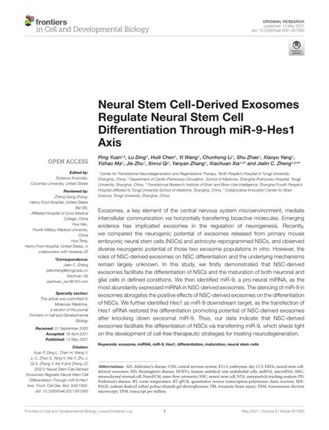 Pdf Neural Stem Cell Derived Exosomes Regulate Neural Stem Cell