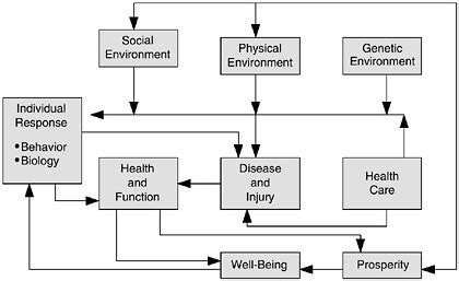 Appendix A Models Of Health Determinants The Future Of The Public S