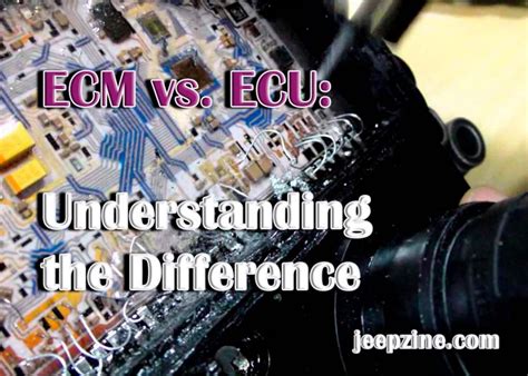 What Is The Difference Between Ecm And Ecu