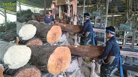 Sawmill Wood PROSES PEMOTONGAN BERMACAM MACAM JENIS KAYU ADA YANG