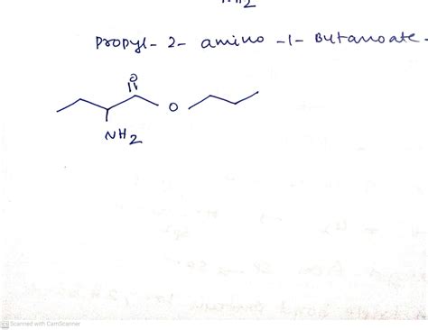 [Solved] draw the structure for the compound- propyl 2-amino-1 ...