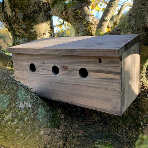 Sparrow Colony Wooden Nesting Box | Garden Selections