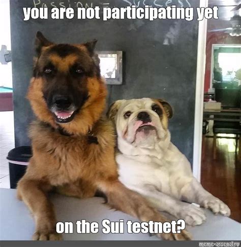 Meme You Are Not Participating Yet On The Sui Testnet All