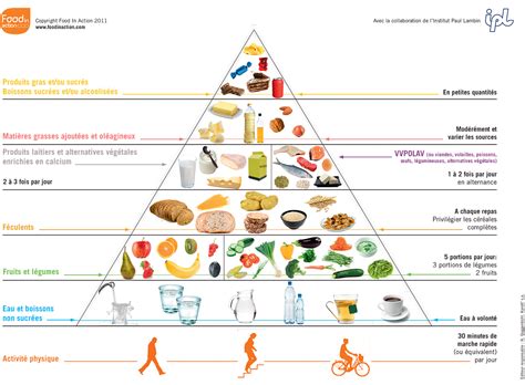 Les Bases De L Quilibre Alimentaire Bordeaux