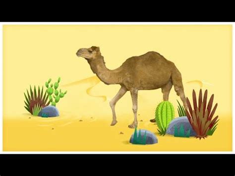 Animal songs he s a zebra by storybots netflix jr – Artofit