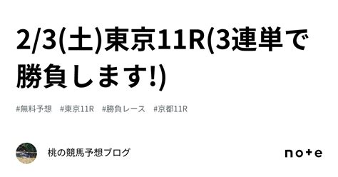 2 3 土 東京11r 3連単で勝負します ｜桃の競馬予想ブログ🌸